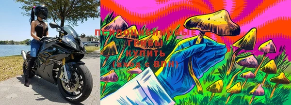 ПСИЛОЦИБИНОВЫЕ ГРИБЫ Барнаул