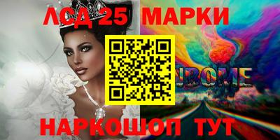 эйфоретик Аргун