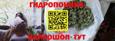 эйфоретик Аргун