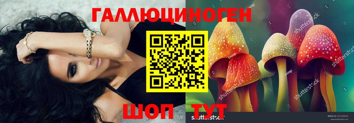 Батайск  Псилоцибиновые грибы Psilocybine cubensis  Вход с VPN  Галлюциногенные грибы MAGIC MUSHROOMS 